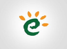 Ethically Essential